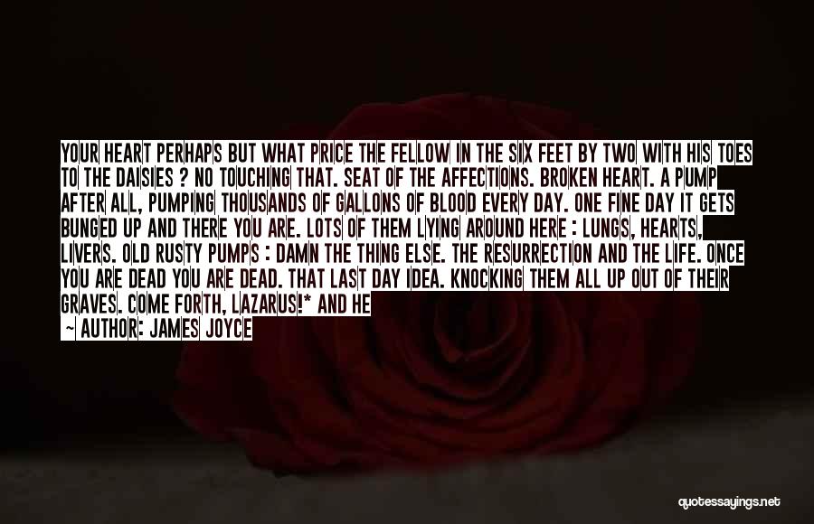 James Joyce Quotes: Your Heart Perhaps But What Price The Fellow In The Six Feet By Two With His Toes To The Daisies