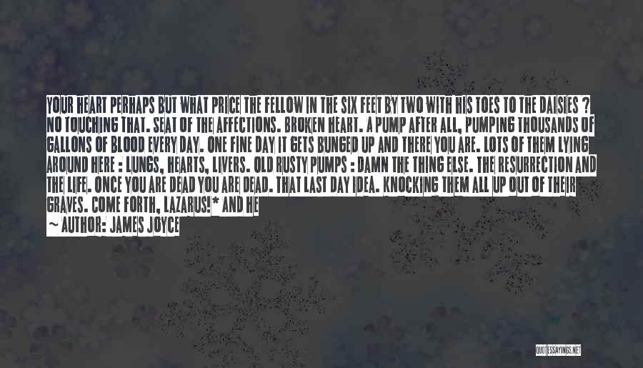 James Joyce Quotes: Your Heart Perhaps But What Price The Fellow In The Six Feet By Two With His Toes To The Daisies