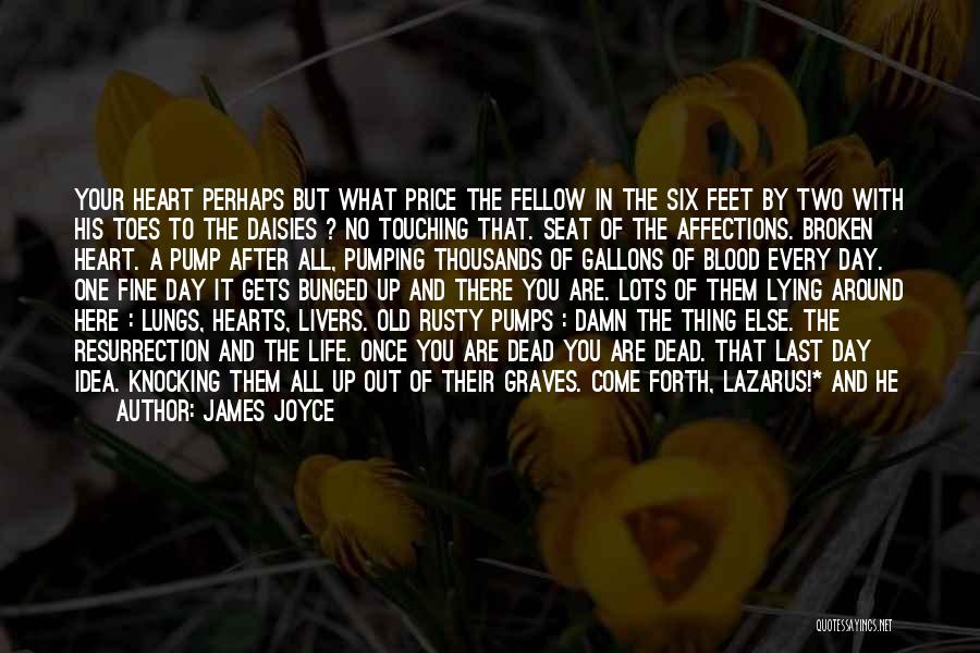 James Joyce Quotes: Your Heart Perhaps But What Price The Fellow In The Six Feet By Two With His Toes To The Daisies