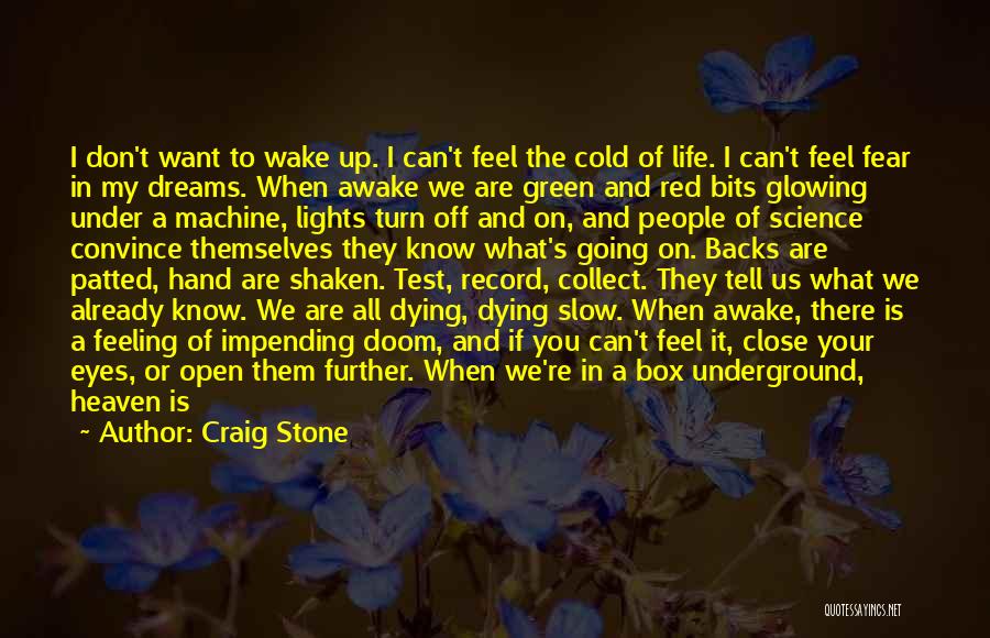 Craig Stone Quotes: I Don't Want To Wake Up. I Can't Feel The Cold Of Life. I Can't Feel Fear In My Dreams.