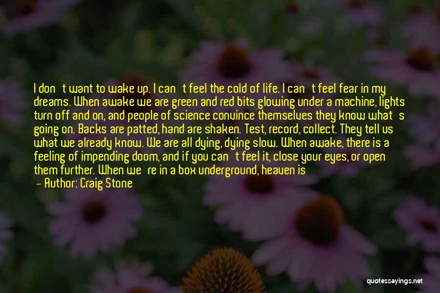 Craig Stone Quotes: I Don't Want To Wake Up. I Can't Feel The Cold Of Life. I Can't Feel Fear In My Dreams.