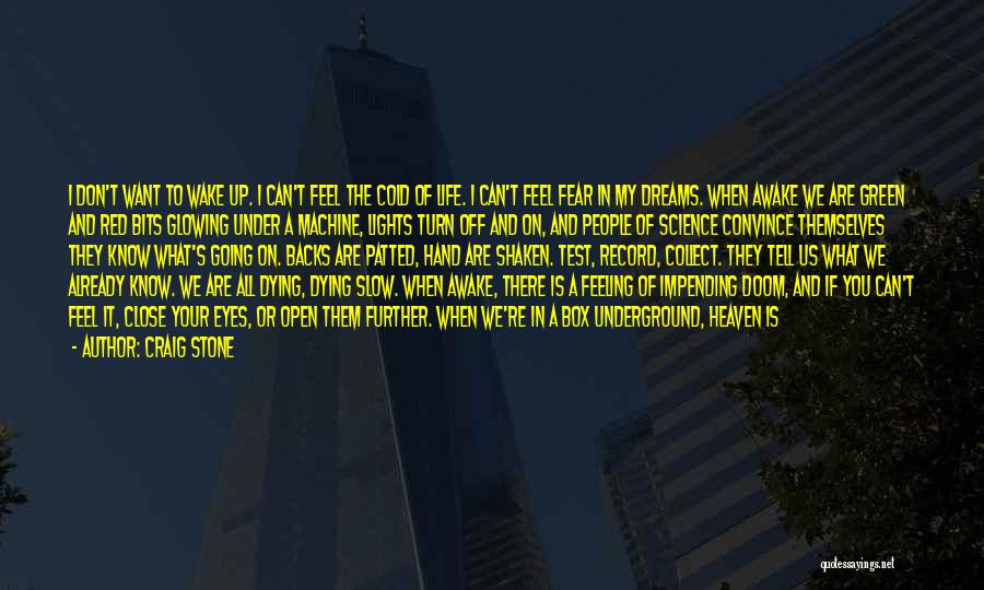 Craig Stone Quotes: I Don't Want To Wake Up. I Can't Feel The Cold Of Life. I Can't Feel Fear In My Dreams.