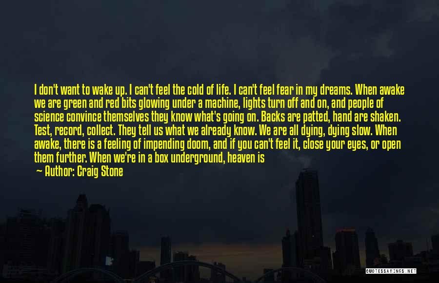 Craig Stone Quotes: I Don't Want To Wake Up. I Can't Feel The Cold Of Life. I Can't Feel Fear In My Dreams.