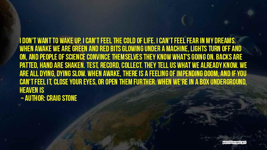 Craig Stone Quotes: I Don't Want To Wake Up. I Can't Feel The Cold Of Life. I Can't Feel Fear In My Dreams.