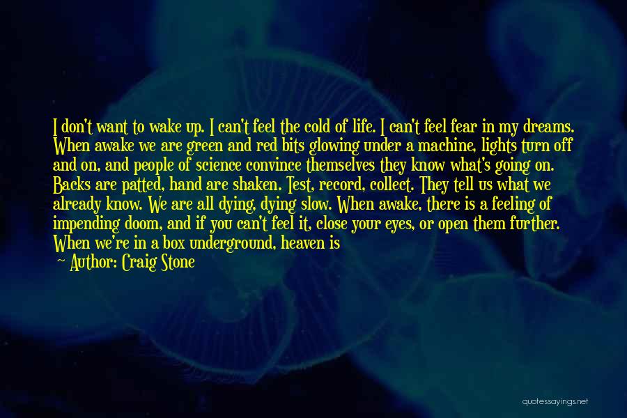 Craig Stone Quotes: I Don't Want To Wake Up. I Can't Feel The Cold Of Life. I Can't Feel Fear In My Dreams.