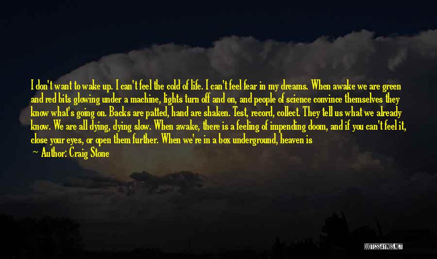 Craig Stone Quotes: I Don't Want To Wake Up. I Can't Feel The Cold Of Life. I Can't Feel Fear In My Dreams.