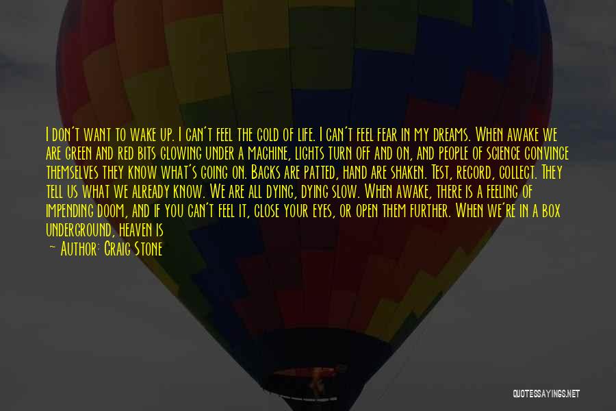 Craig Stone Quotes: I Don't Want To Wake Up. I Can't Feel The Cold Of Life. I Can't Feel Fear In My Dreams.