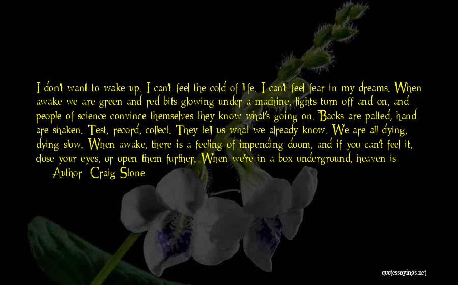 Craig Stone Quotes: I Don't Want To Wake Up. I Can't Feel The Cold Of Life. I Can't Feel Fear In My Dreams.