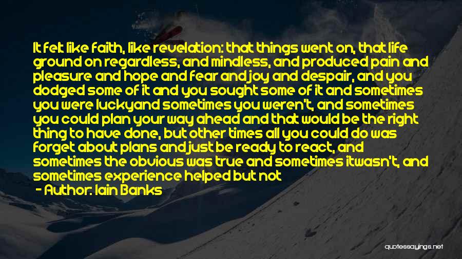 Iain Banks Quotes: It Felt Like Faith, Like Revelation: That Things Went On, That Life Ground On Regardless, And Mindless, And Produced Pain