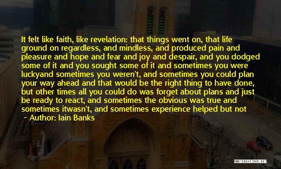 Iain Banks Quotes: It Felt Like Faith, Like Revelation: That Things Went On, That Life Ground On Regardless, And Mindless, And Produced Pain