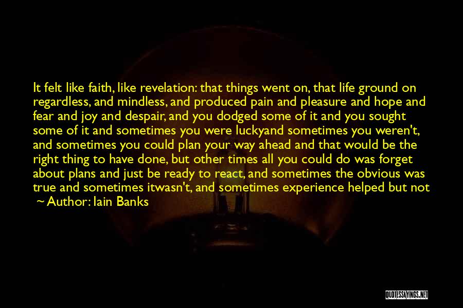 Iain Banks Quotes: It Felt Like Faith, Like Revelation: That Things Went On, That Life Ground On Regardless, And Mindless, And Produced Pain