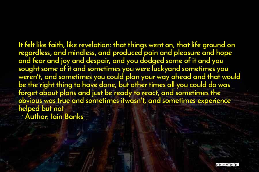 Iain Banks Quotes: It Felt Like Faith, Like Revelation: That Things Went On, That Life Ground On Regardless, And Mindless, And Produced Pain