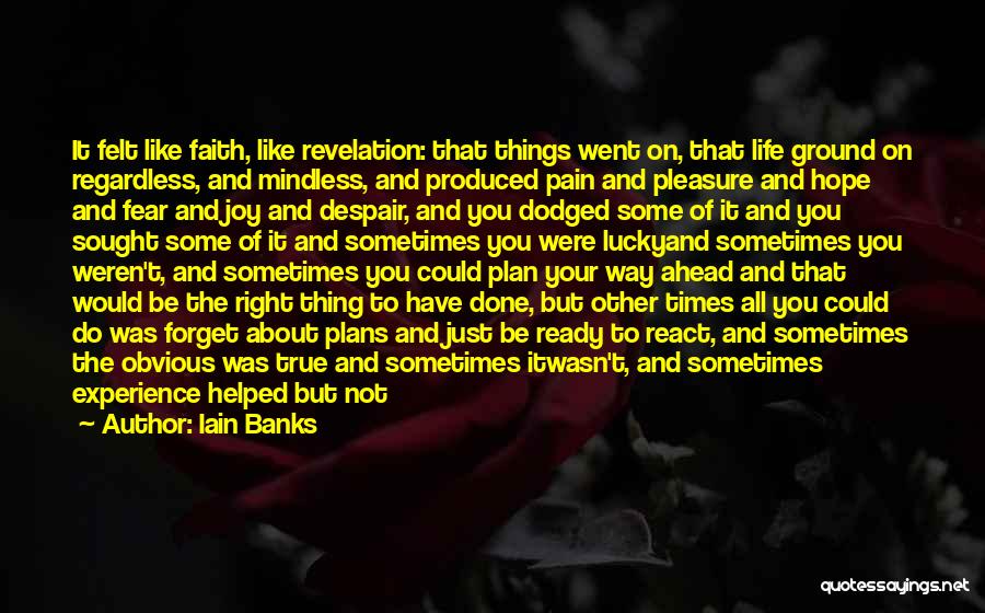 Iain Banks Quotes: It Felt Like Faith, Like Revelation: That Things Went On, That Life Ground On Regardless, And Mindless, And Produced Pain