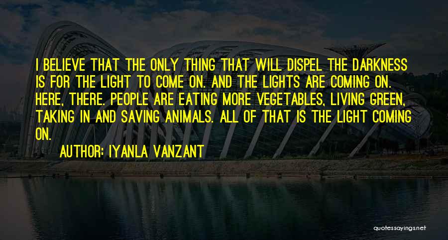 Iyanla Vanzant Quotes: I Believe That The Only Thing That Will Dispel The Darkness Is For The Light To Come On. And The