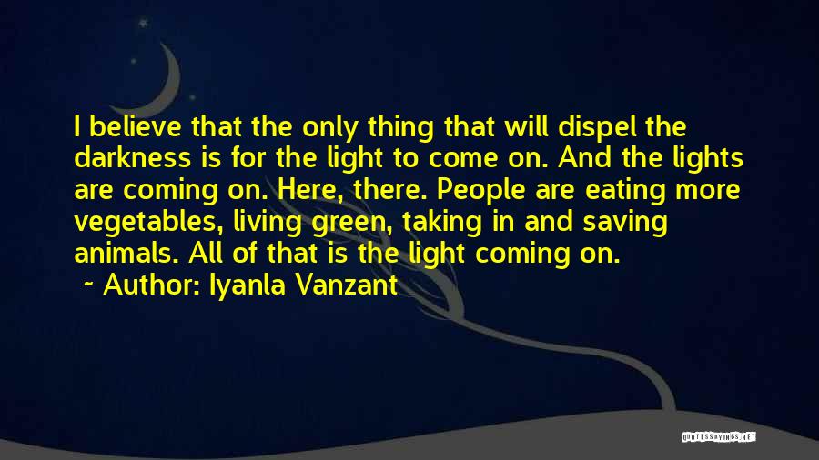 Iyanla Vanzant Quotes: I Believe That The Only Thing That Will Dispel The Darkness Is For The Light To Come On. And The