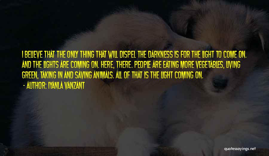 Iyanla Vanzant Quotes: I Believe That The Only Thing That Will Dispel The Darkness Is For The Light To Come On. And The