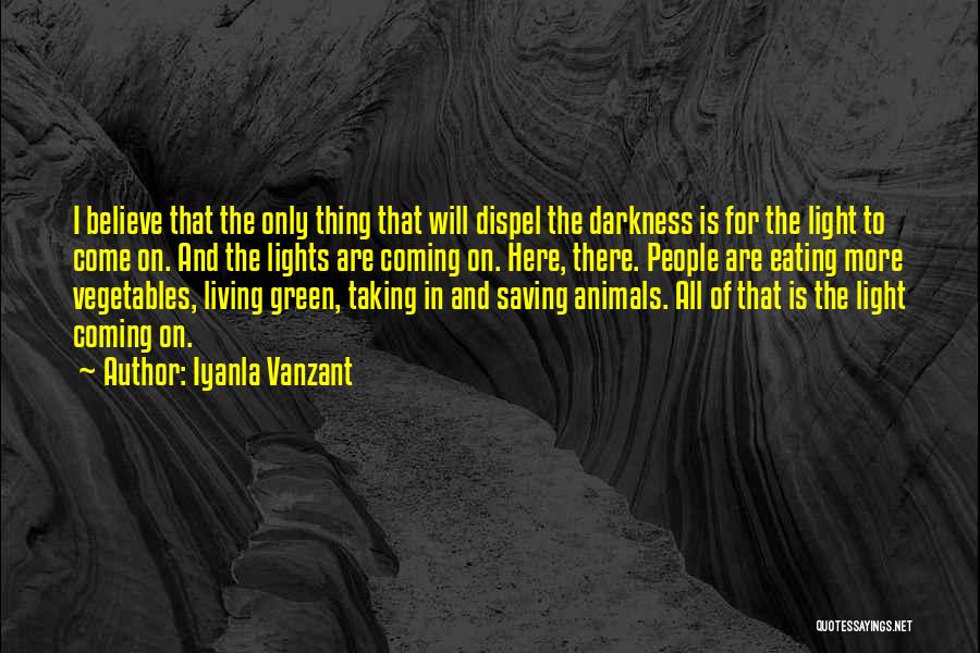 Iyanla Vanzant Quotes: I Believe That The Only Thing That Will Dispel The Darkness Is For The Light To Come On. And The