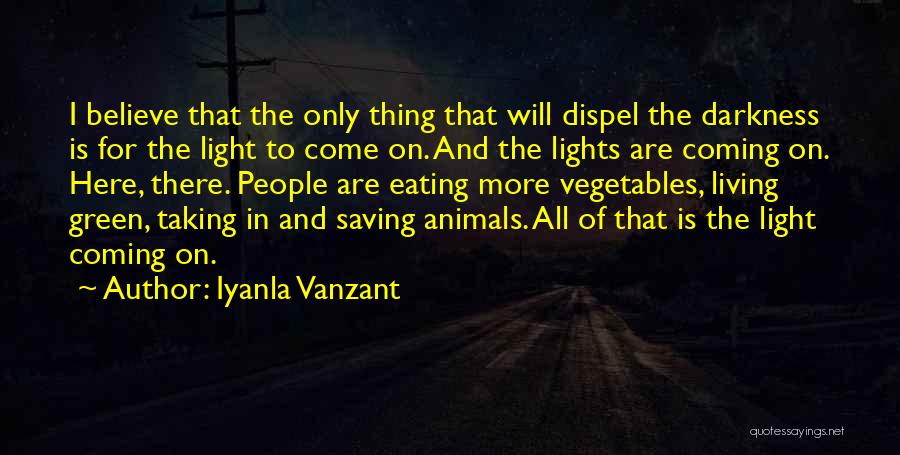 Iyanla Vanzant Quotes: I Believe That The Only Thing That Will Dispel The Darkness Is For The Light To Come On. And The