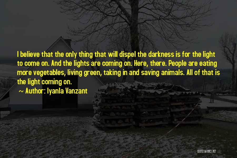 Iyanla Vanzant Quotes: I Believe That The Only Thing That Will Dispel The Darkness Is For The Light To Come On. And The