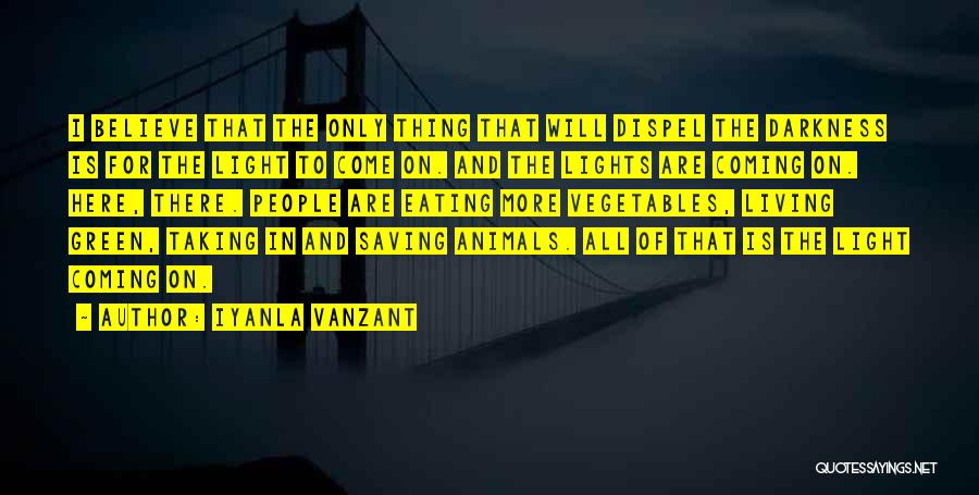 Iyanla Vanzant Quotes: I Believe That The Only Thing That Will Dispel The Darkness Is For The Light To Come On. And The