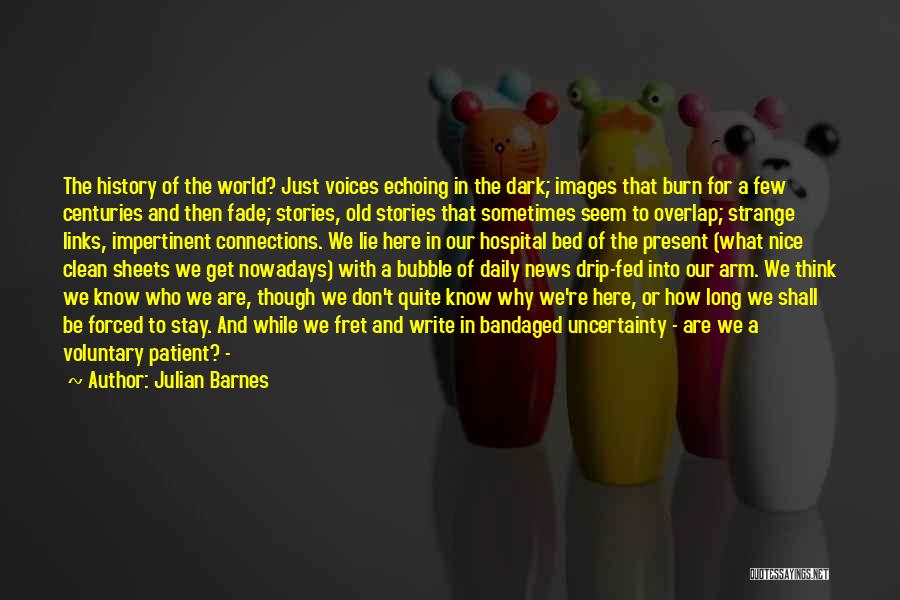 Julian Barnes Quotes: The History Of The World? Just Voices Echoing In The Dark; Images That Burn For A Few Centuries And Then