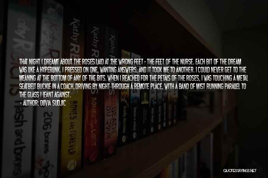 Olivia Sudjic Quotes: That Night I Dreamt About The Roses Laid At The Wrong Feet - The Feet Of The Nurse. Each Bit