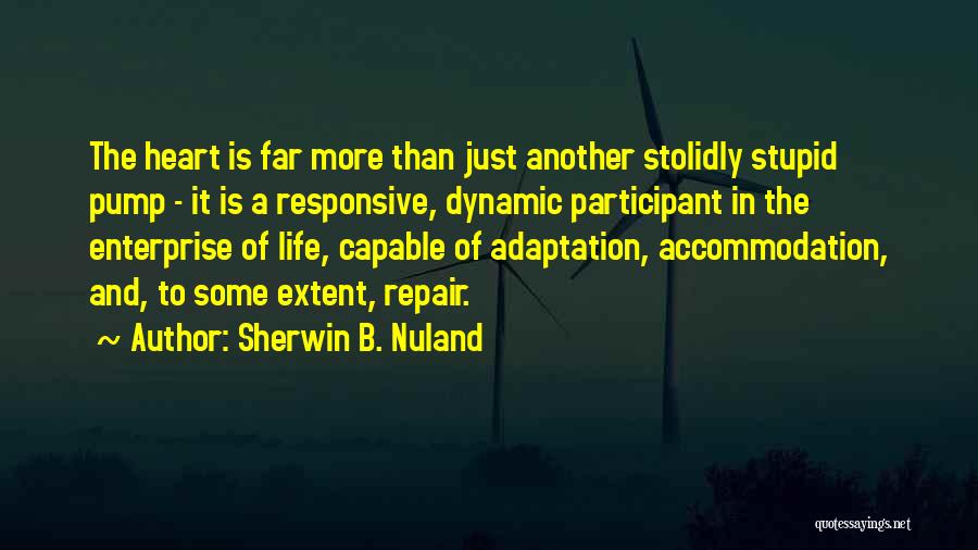 Sherwin B. Nuland Quotes: The Heart Is Far More Than Just Another Stolidly Stupid Pump - It Is A Responsive, Dynamic Participant In The
