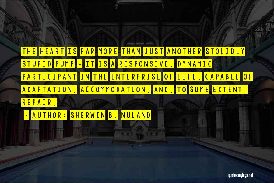 Sherwin B. Nuland Quotes: The Heart Is Far More Than Just Another Stolidly Stupid Pump - It Is A Responsive, Dynamic Participant In The