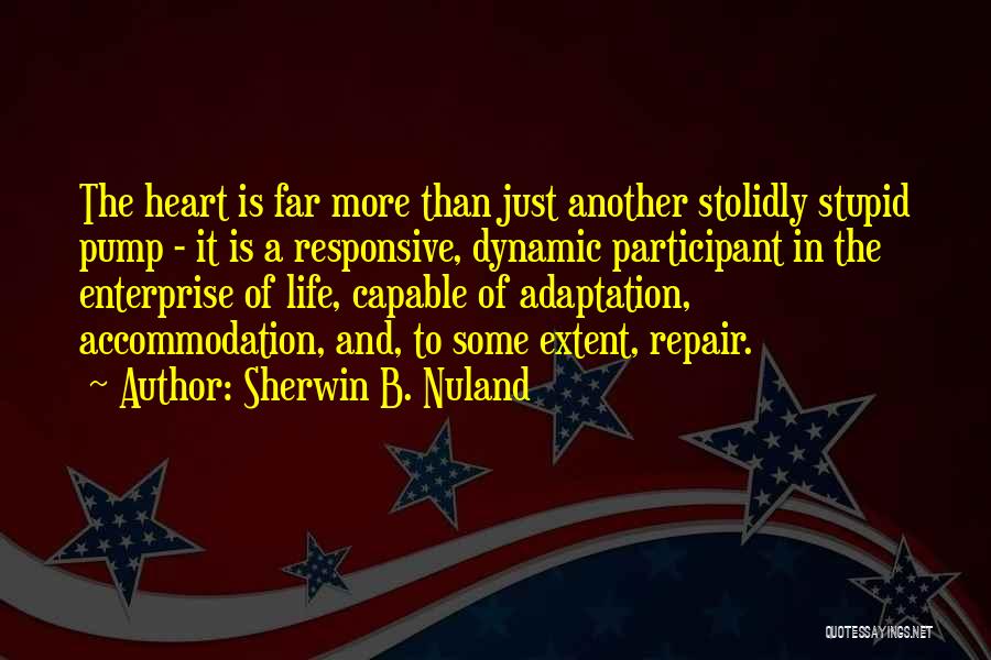Sherwin B. Nuland Quotes: The Heart Is Far More Than Just Another Stolidly Stupid Pump - It Is A Responsive, Dynamic Participant In The
