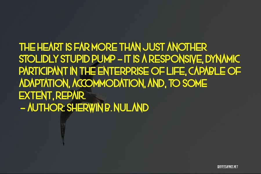 Sherwin B. Nuland Quotes: The Heart Is Far More Than Just Another Stolidly Stupid Pump - It Is A Responsive, Dynamic Participant In The