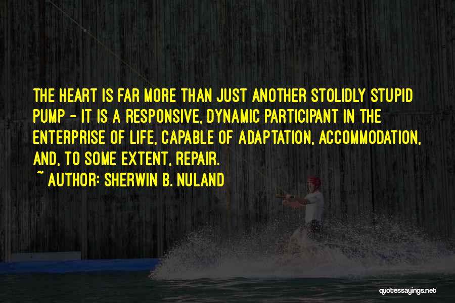Sherwin B. Nuland Quotes: The Heart Is Far More Than Just Another Stolidly Stupid Pump - It Is A Responsive, Dynamic Participant In The