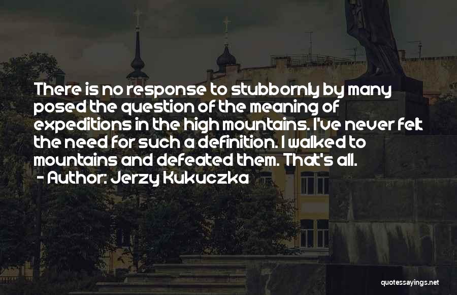 Jerzy Kukuczka Quotes: There Is No Response To Stubbornly By Many Posed The Question Of The Meaning Of Expeditions In The High Mountains.
