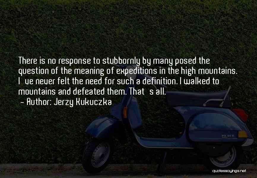 Jerzy Kukuczka Quotes: There Is No Response To Stubbornly By Many Posed The Question Of The Meaning Of Expeditions In The High Mountains.