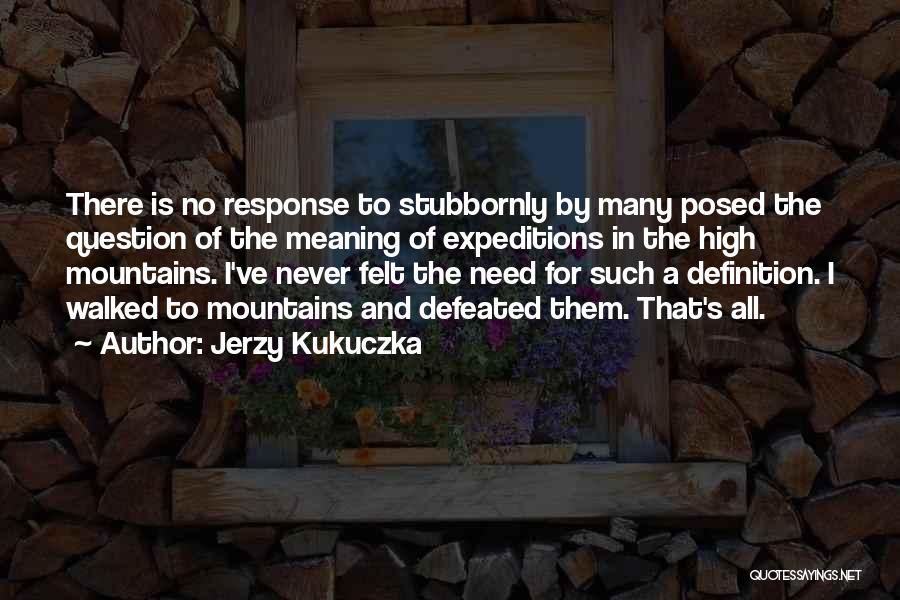 Jerzy Kukuczka Quotes: There Is No Response To Stubbornly By Many Posed The Question Of The Meaning Of Expeditions In The High Mountains.