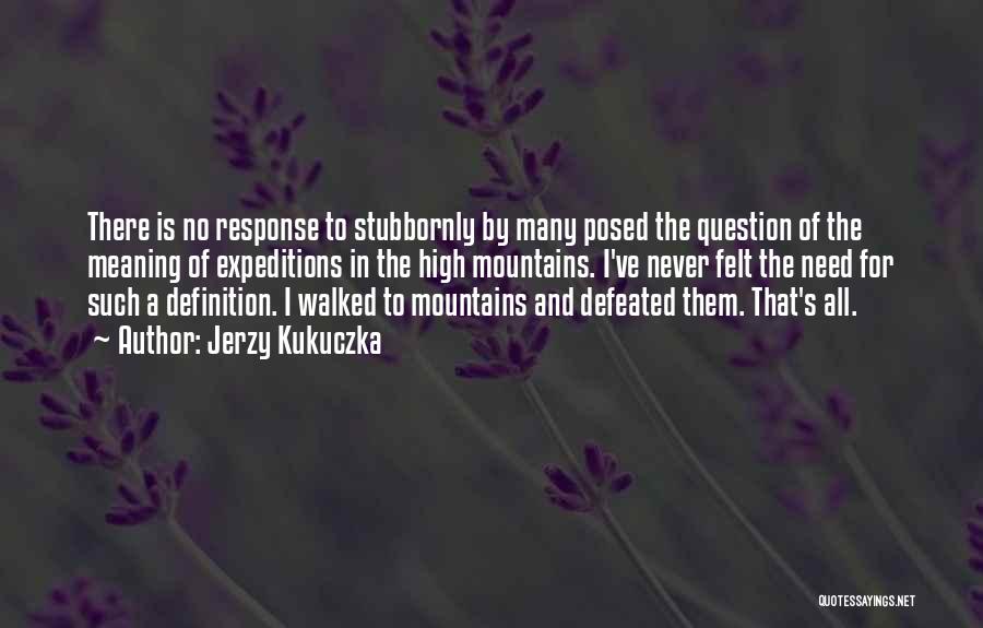 Jerzy Kukuczka Quotes: There Is No Response To Stubbornly By Many Posed The Question Of The Meaning Of Expeditions In The High Mountains.