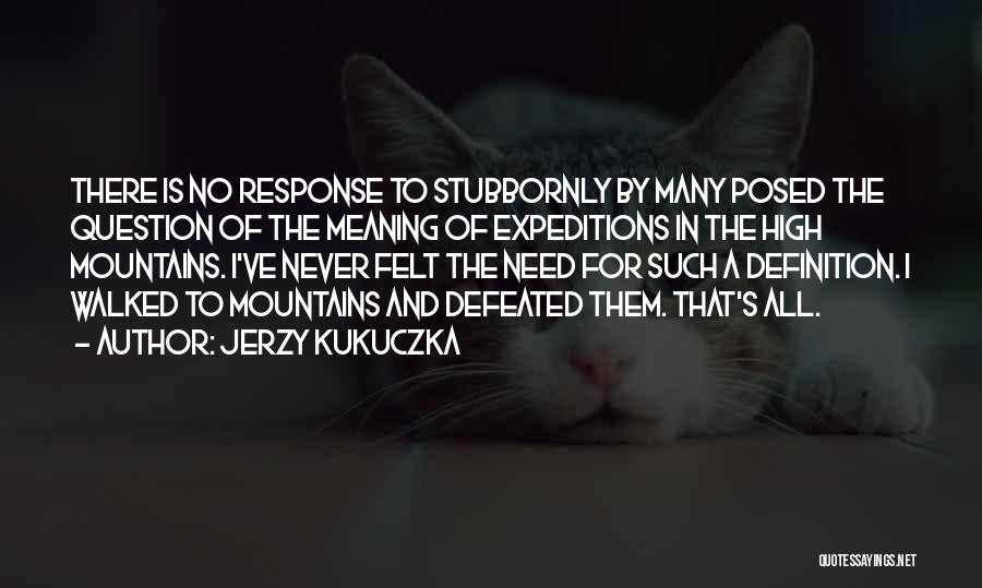 Jerzy Kukuczka Quotes: There Is No Response To Stubbornly By Many Posed The Question Of The Meaning Of Expeditions In The High Mountains.