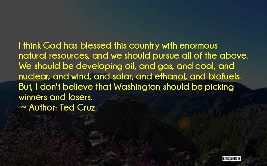 Ted Cruz Quotes: I Think God Has Blessed This Country With Enormous Natural Resources, And We Should Pursue All Of The Above. We