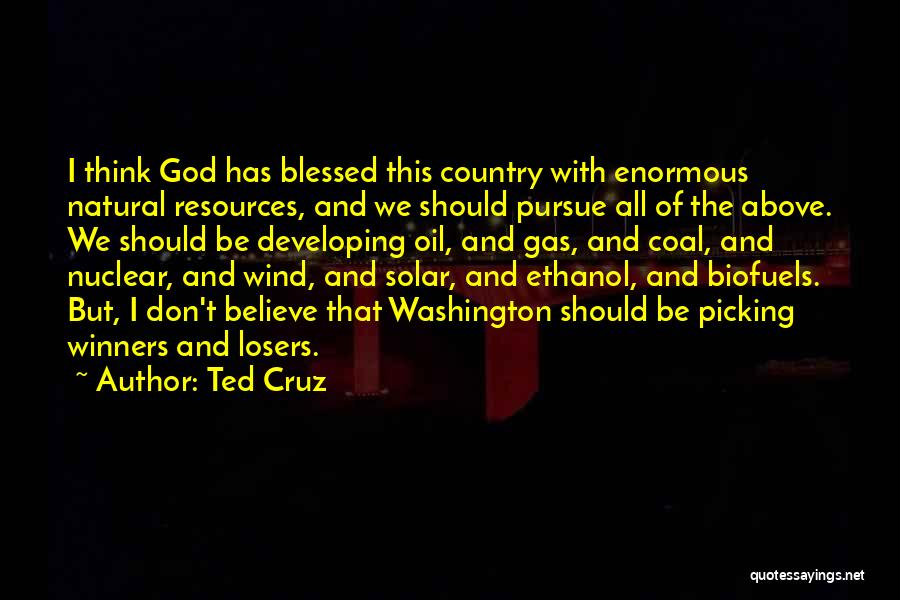 Ted Cruz Quotes: I Think God Has Blessed This Country With Enormous Natural Resources, And We Should Pursue All Of The Above. We