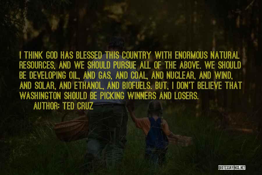 Ted Cruz Quotes: I Think God Has Blessed This Country With Enormous Natural Resources, And We Should Pursue All Of The Above. We