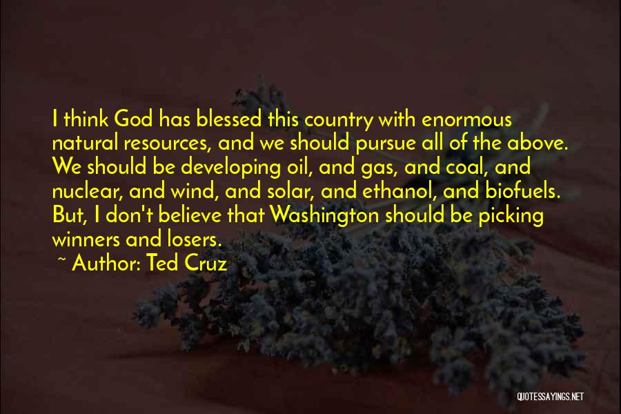Ted Cruz Quotes: I Think God Has Blessed This Country With Enormous Natural Resources, And We Should Pursue All Of The Above. We