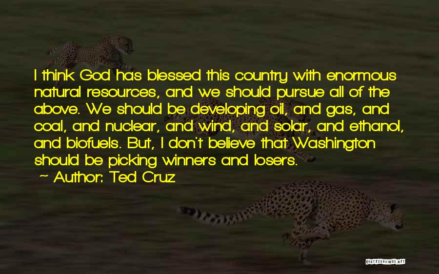 Ted Cruz Quotes: I Think God Has Blessed This Country With Enormous Natural Resources, And We Should Pursue All Of The Above. We