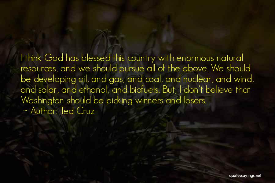 Ted Cruz Quotes: I Think God Has Blessed This Country With Enormous Natural Resources, And We Should Pursue All Of The Above. We