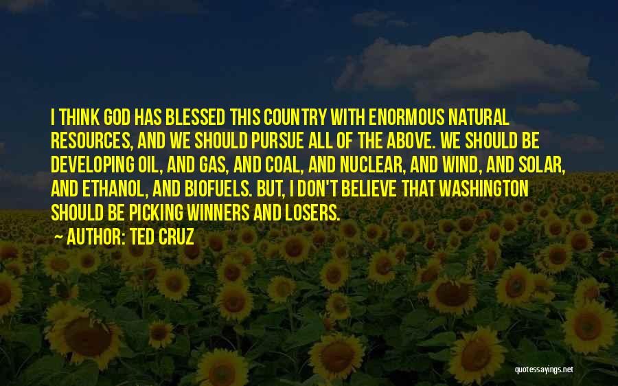 Ted Cruz Quotes: I Think God Has Blessed This Country With Enormous Natural Resources, And We Should Pursue All Of The Above. We