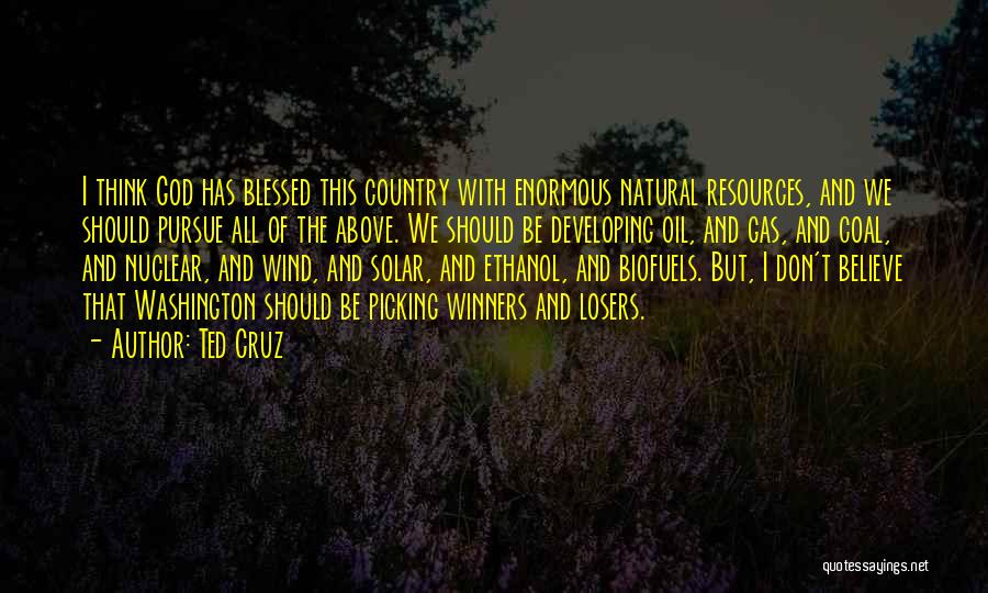 Ted Cruz Quotes: I Think God Has Blessed This Country With Enormous Natural Resources, And We Should Pursue All Of The Above. We