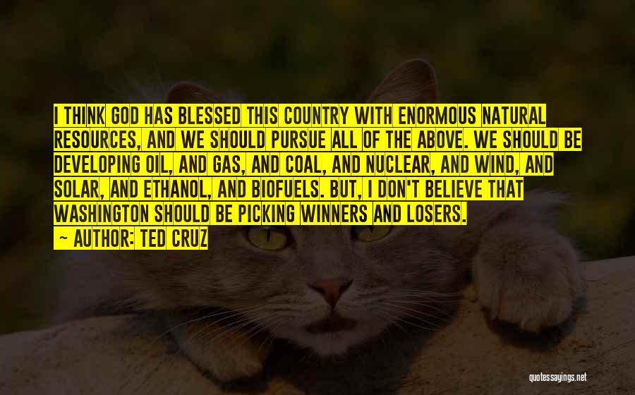 Ted Cruz Quotes: I Think God Has Blessed This Country With Enormous Natural Resources, And We Should Pursue All Of The Above. We