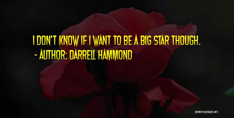 Darrell Hammond Quotes: I Don't Know If I Want To Be A Big Star Though.