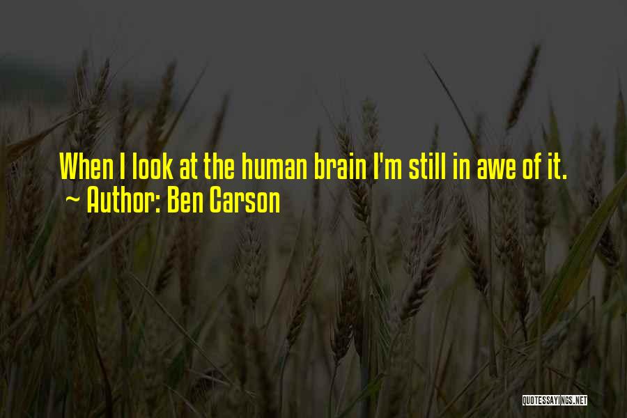 Ben Carson Quotes: When I Look At The Human Brain I'm Still In Awe Of It.