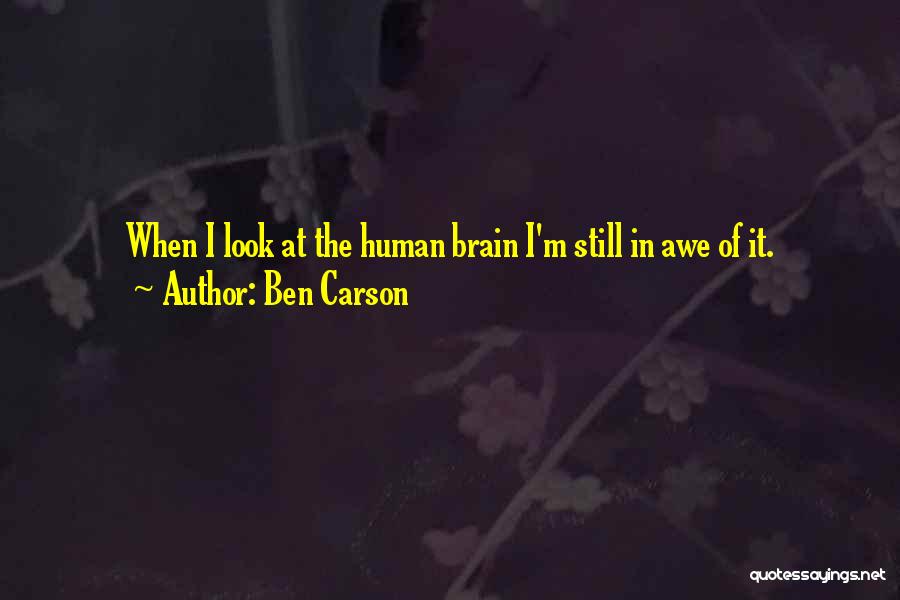 Ben Carson Quotes: When I Look At The Human Brain I'm Still In Awe Of It.