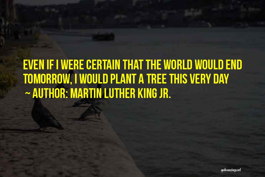 Martin Luther King Jr. Quotes: Even If I Were Certain That The World Would End Tomorrow, I Would Plant A Tree This Very Day