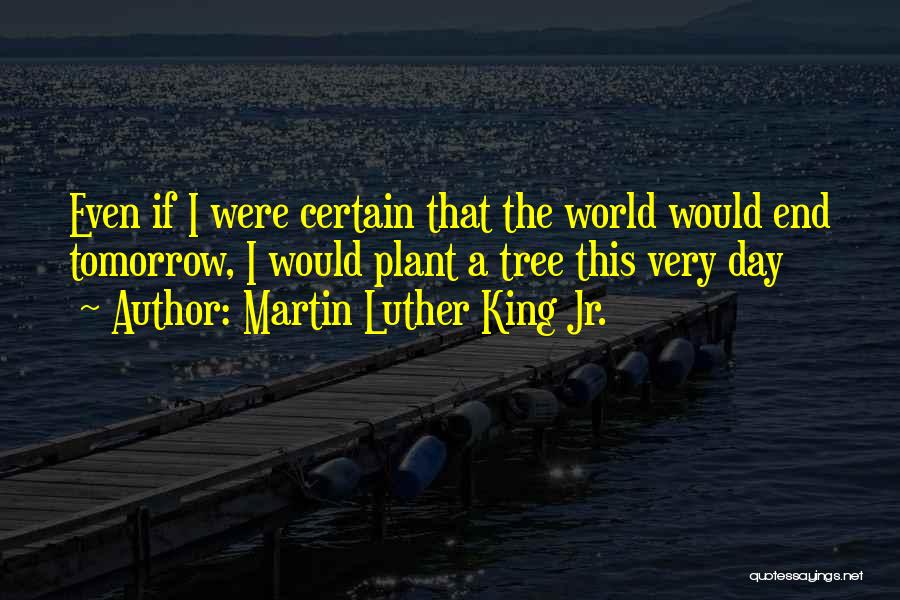 Martin Luther King Jr. Quotes: Even If I Were Certain That The World Would End Tomorrow, I Would Plant A Tree This Very Day